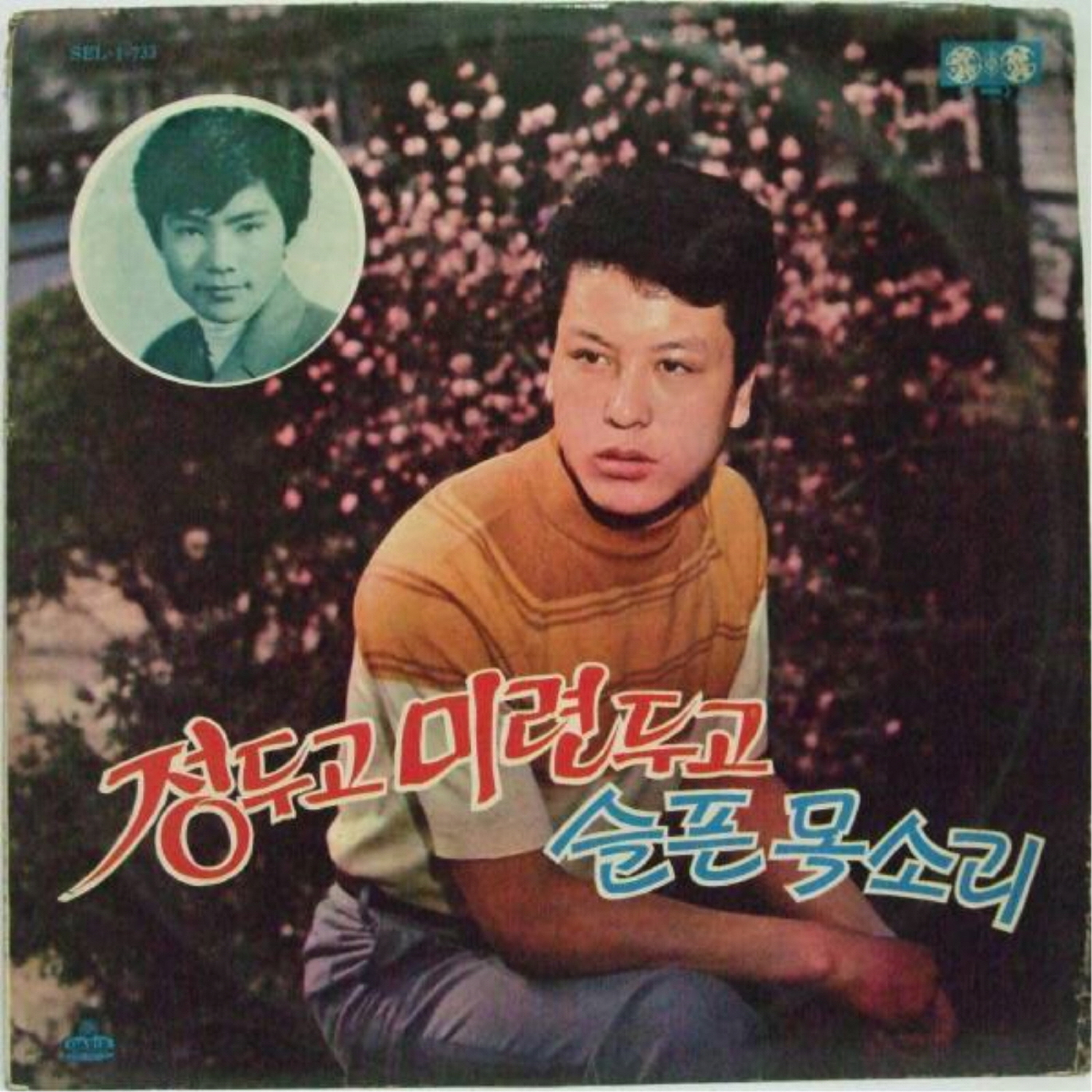Image Cover